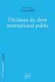2024-decisions_droit_international_public.png